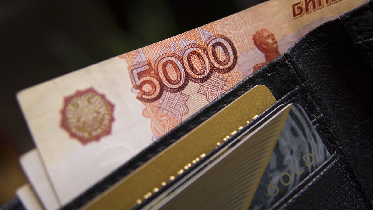 wallet, rubles, ruble-930552.jpg